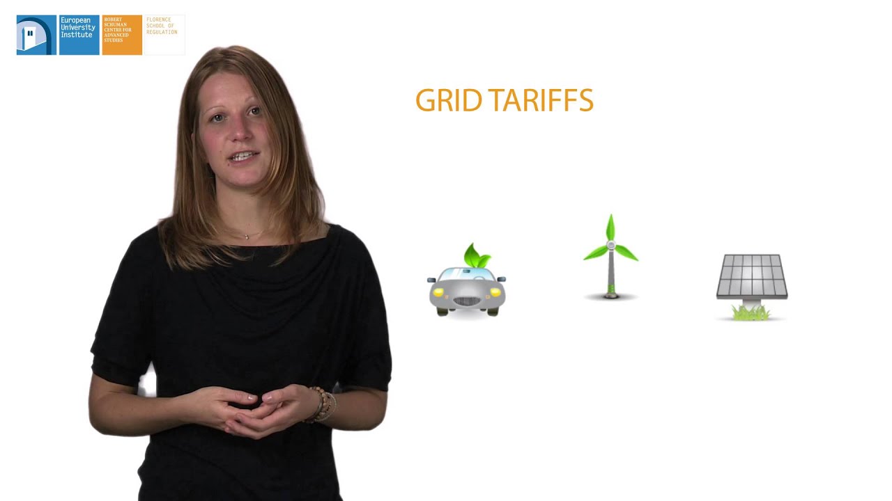 Electricity Distribution | How Regulation Could be Adapted (Grid Operators) by Sophia Ruester | FSR