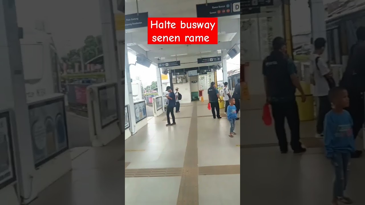 Halte busway senen rame #shorts #burungegacor
