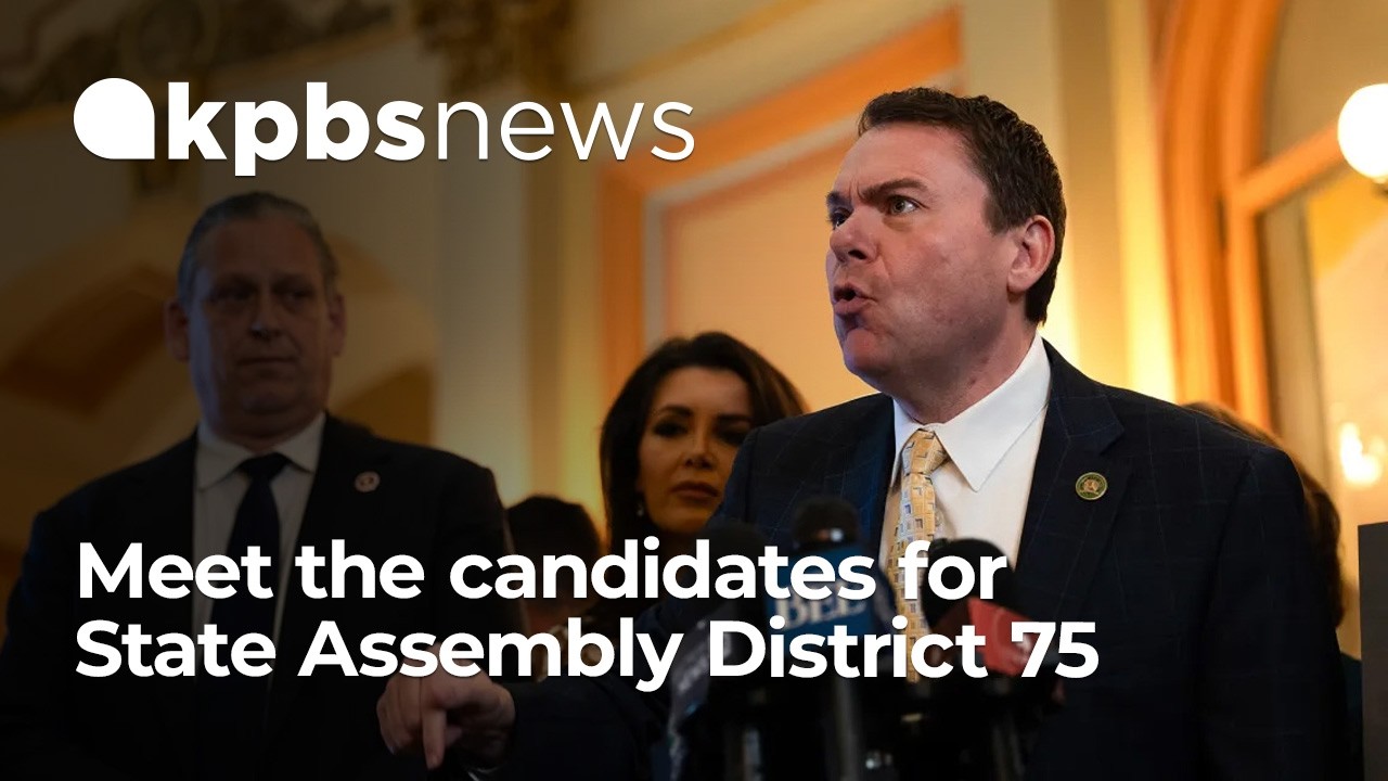 2026 Primary Election: Who's running for California Assembly District 75?
