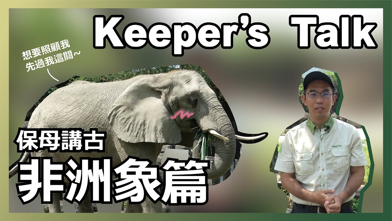 【Keeper's Talk Online】-「非洲象篇」