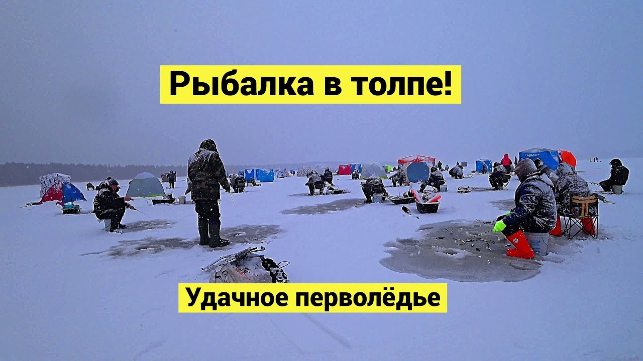 Корюшка на перволёдье!