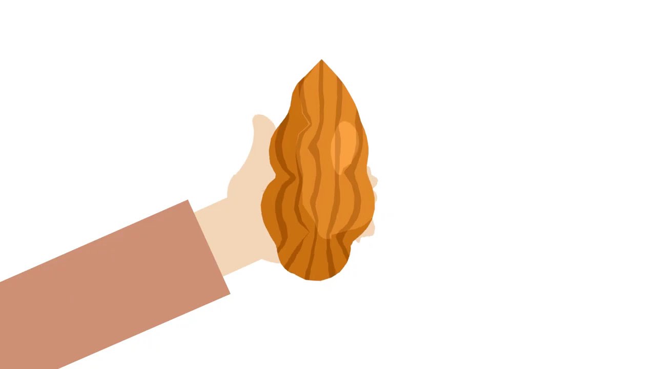 Squeeze Our Nuts with ULTRA FAT from NSNG Foods