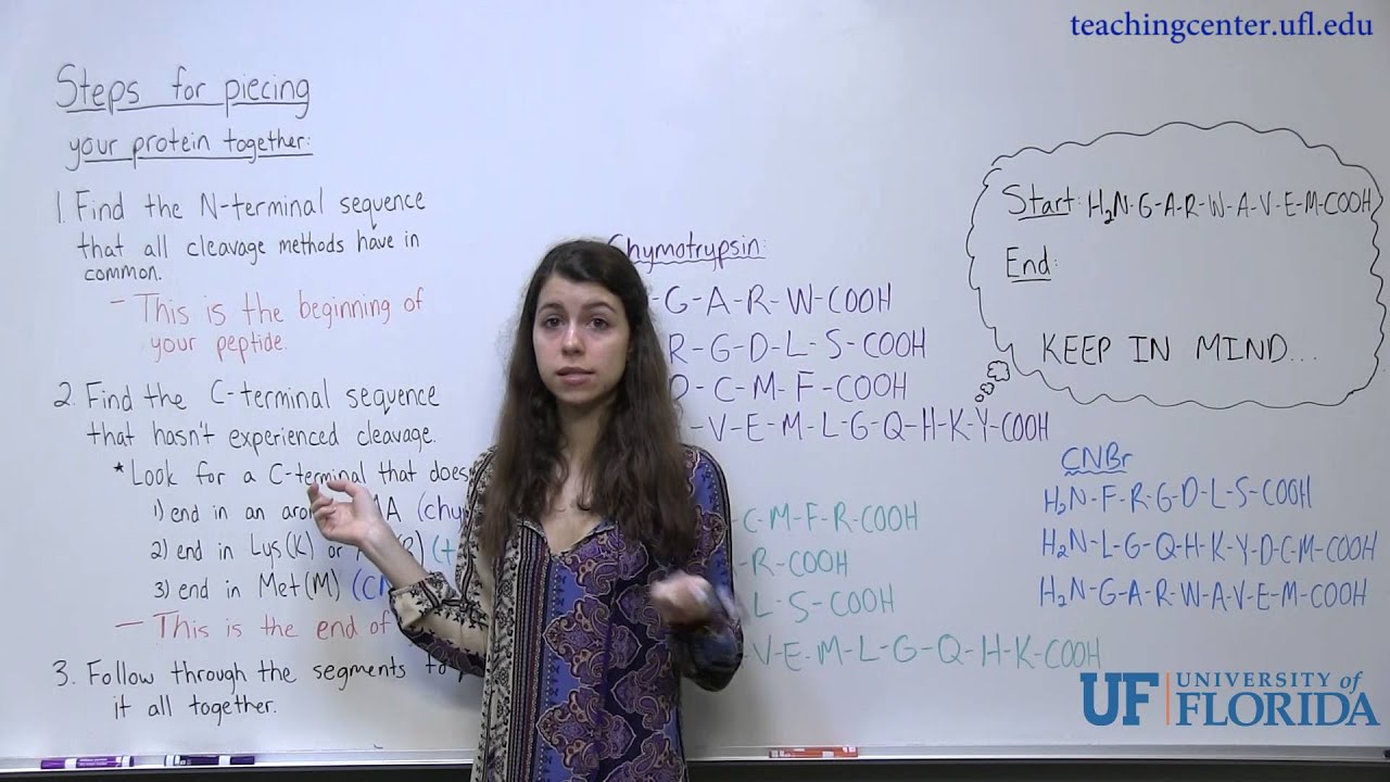 Protein Fragmentation Analysis