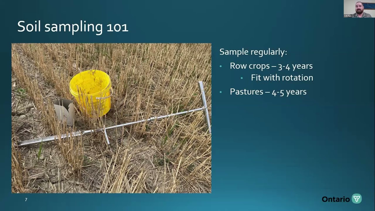 Building Soil Fertility on my Pasture