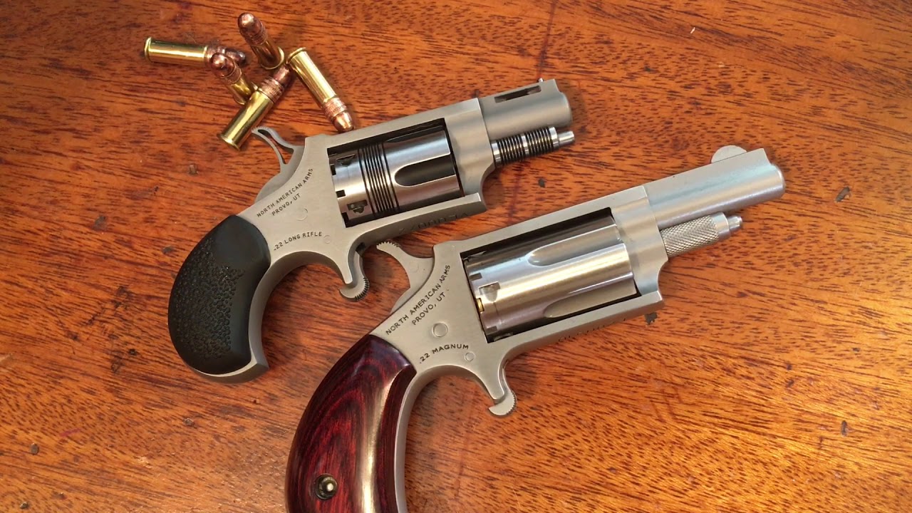 North American Arms Wasp .22lr