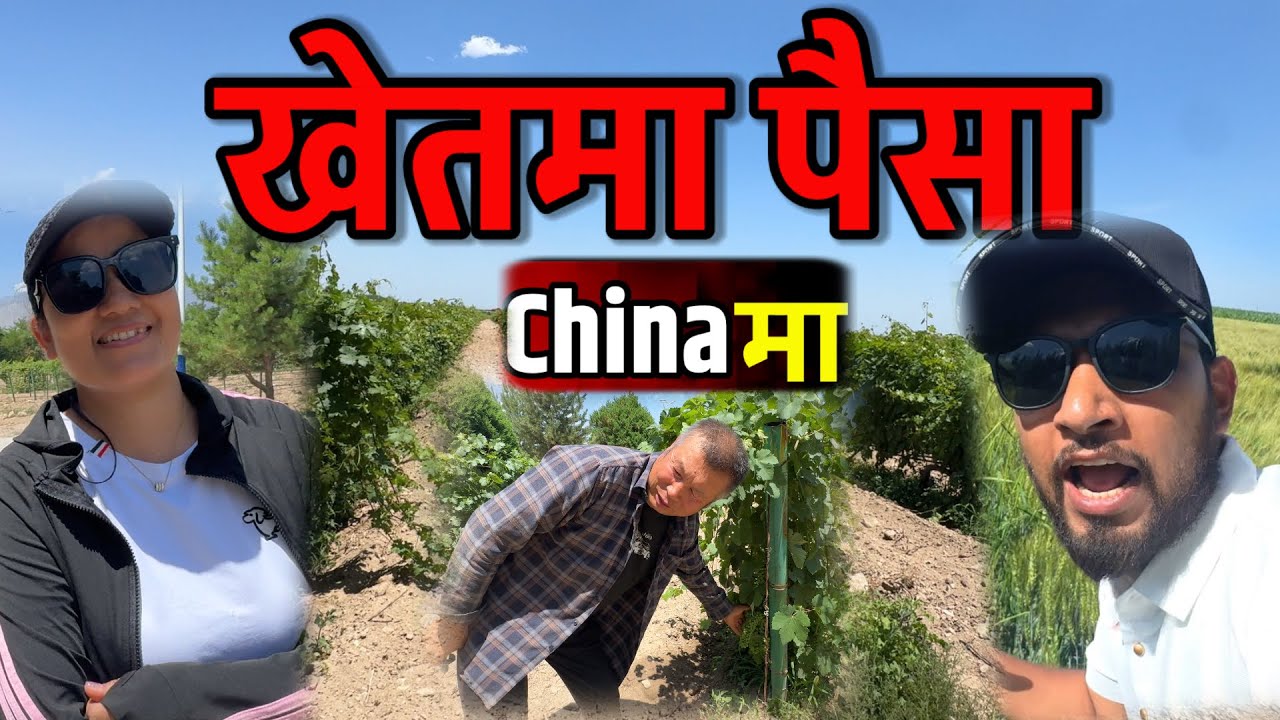 यत्रो पैसा चाईनामा खेतिमा हेर्नुहोस Bhagya Neupane China Tour EP-27