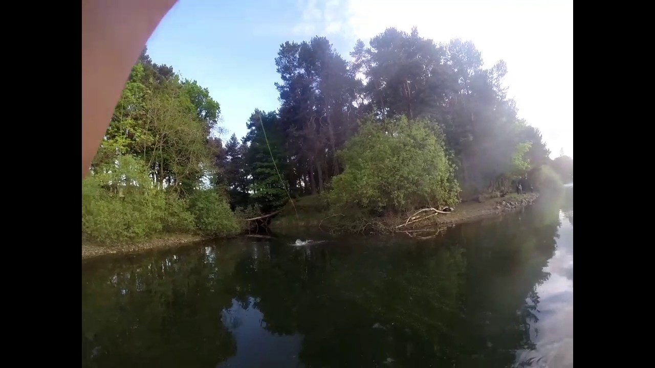 Stalking trout clubbidean fishery