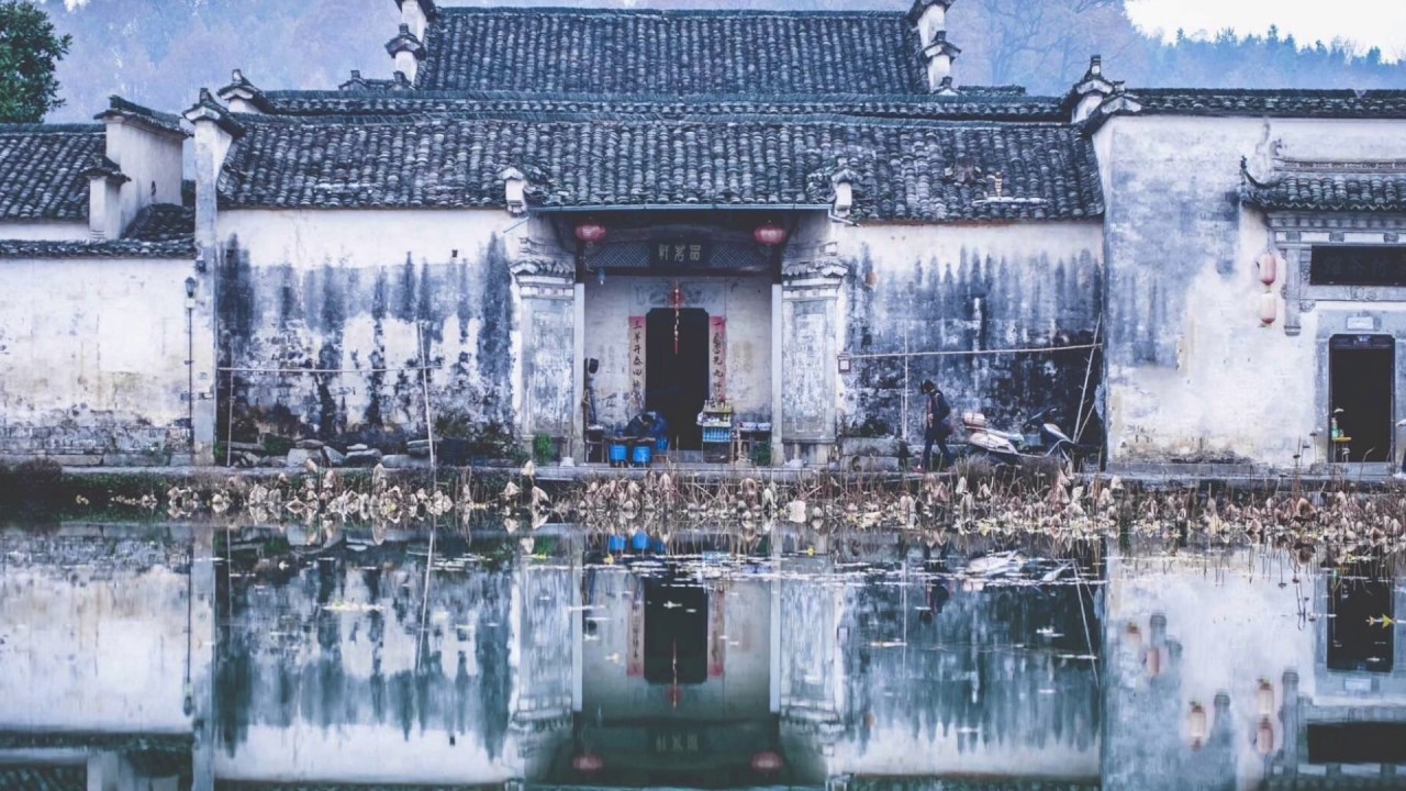 不見有情 by 河圖