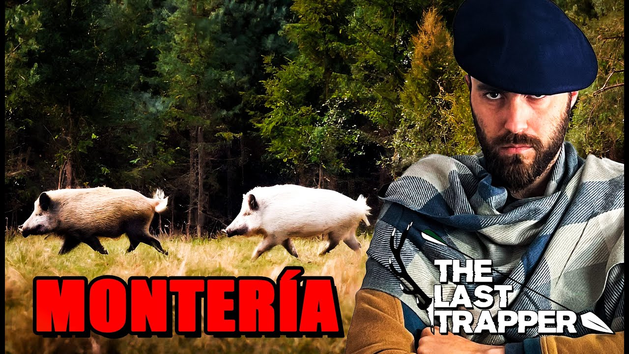 😱DOS PELAJES DE JABALÍ! 🐗MONTERÍA The Last Trapper | theHunter: Call of the Wild🌿