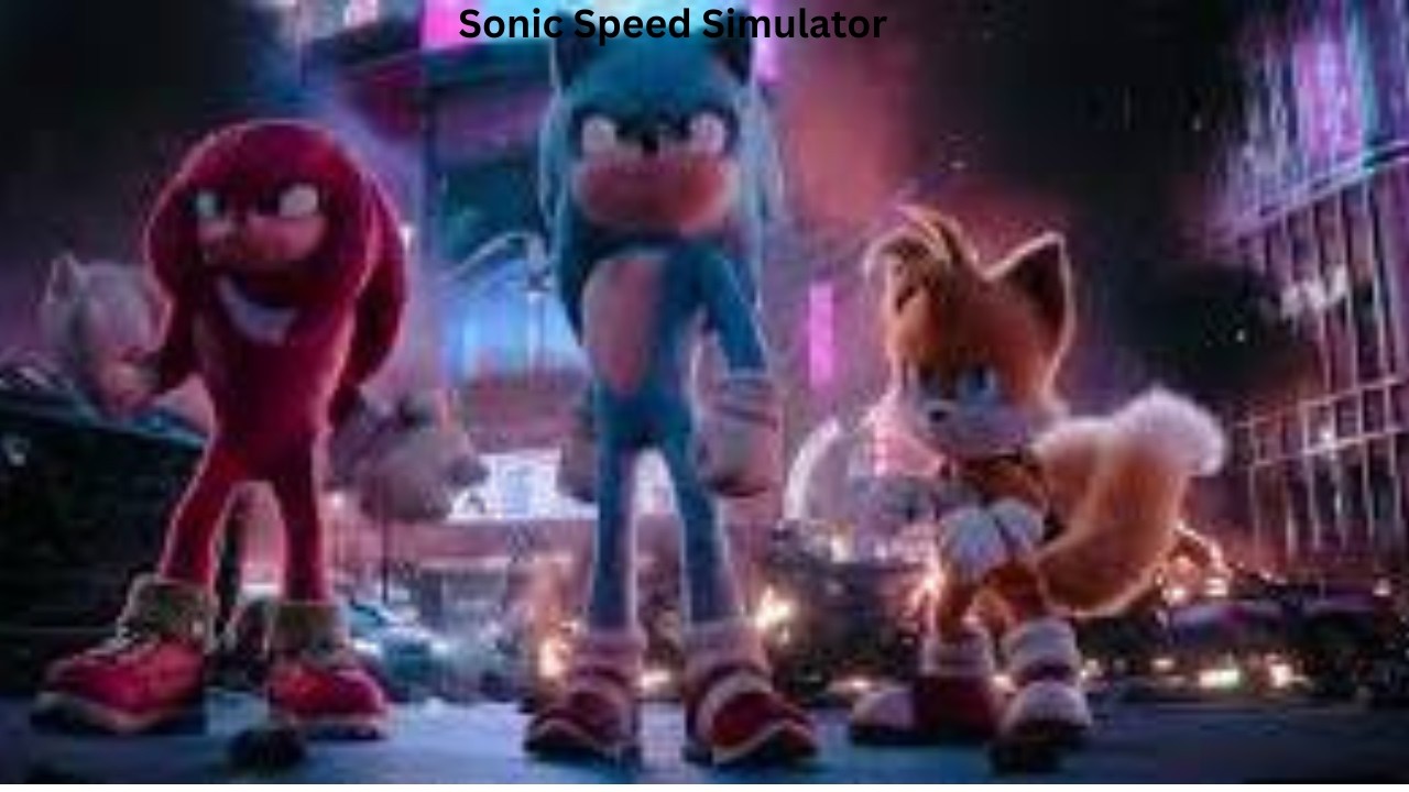 Sonic Speed Simulator