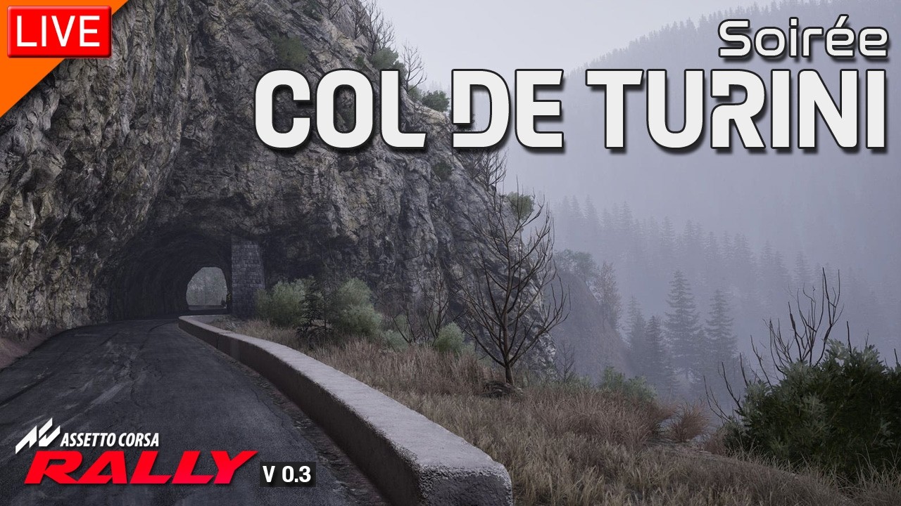 🔴 Soirée Col de Turini ● Assetto Corsa Rally