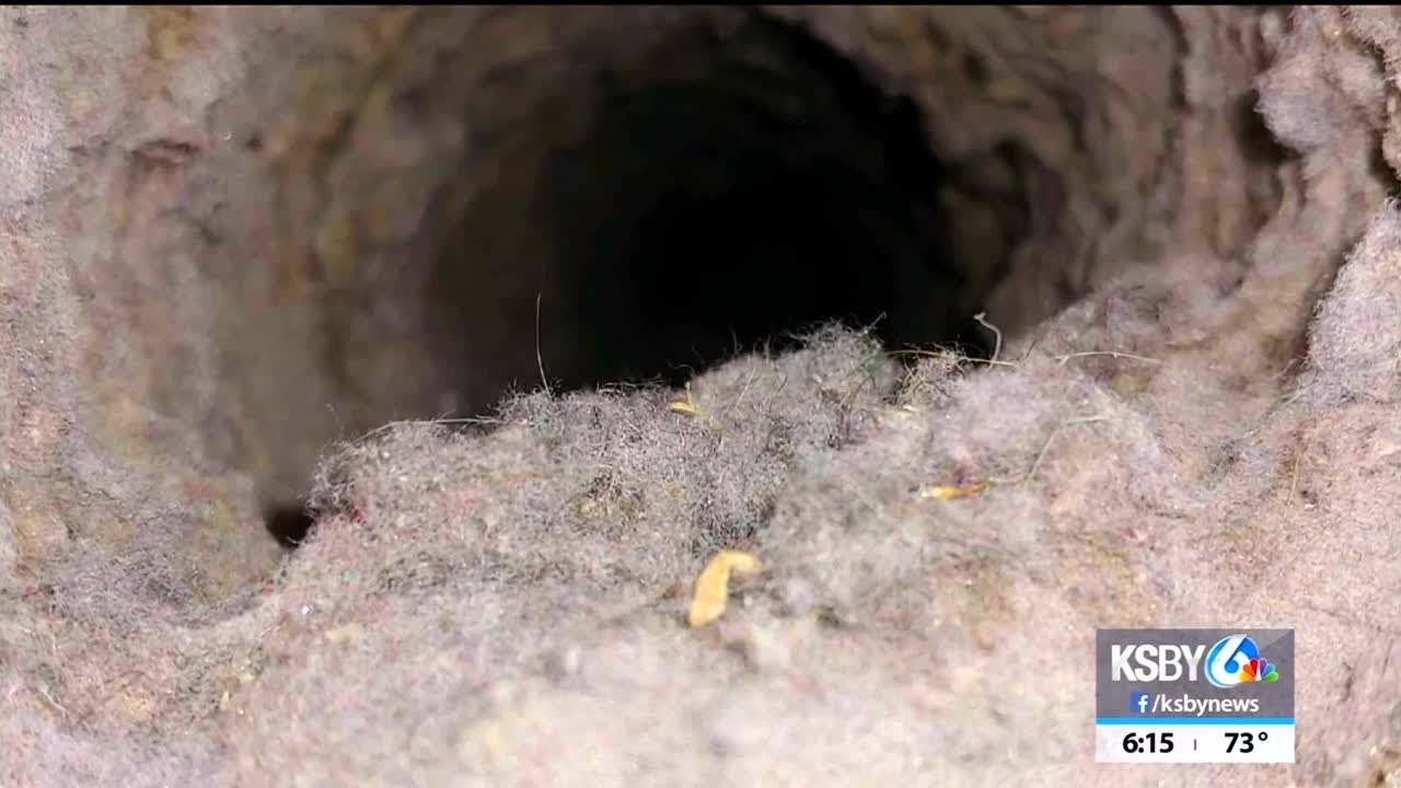 Dryer fires caused by lint build-up