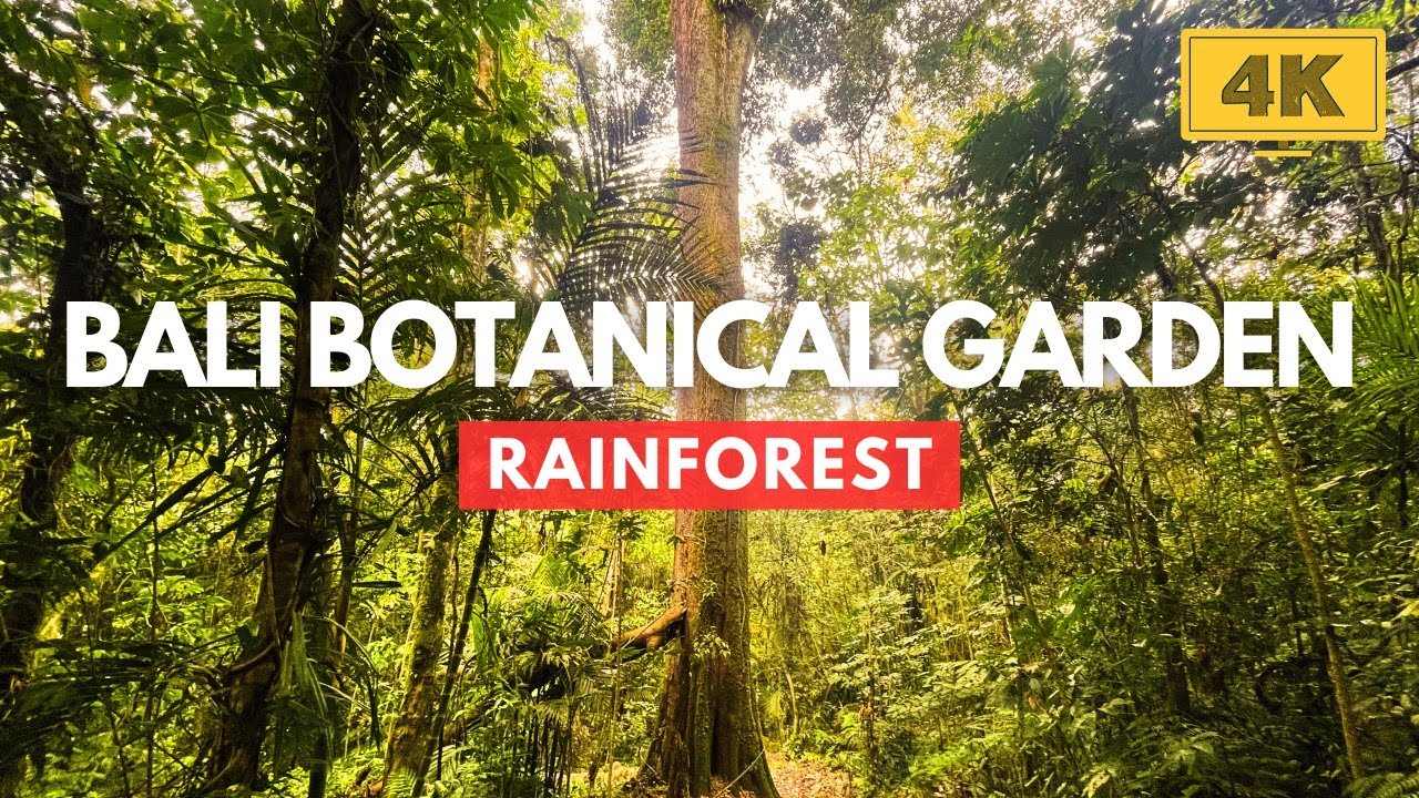 BALI BOTANICAL GARDEN: 4K Steep Hiking and ASMR NATURE in the Enchanting RAINFOREST!
