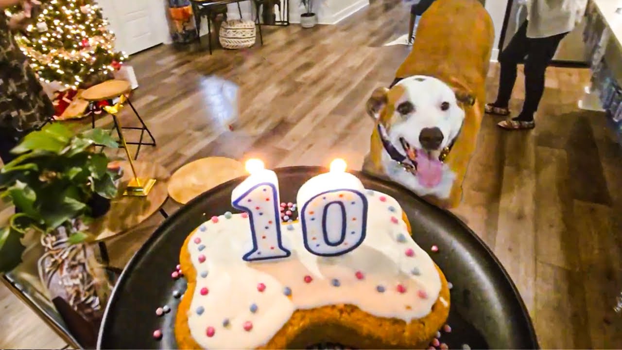 Трансляция вечеринки в честь 10-летия Майло...