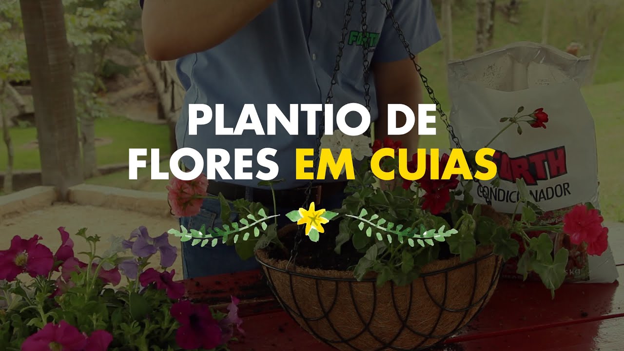 Plantio de Flores em Cuias