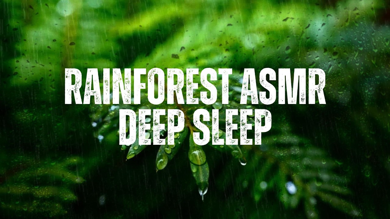 🌧️ Deep Sleep Rainforest ASMR | Rain Sounds for Insomnia & Stress Relief