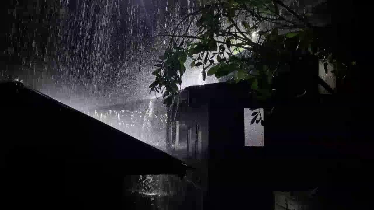 Deep Sleep Rain Sounds – Heavy Rain on Tin Roof at Night