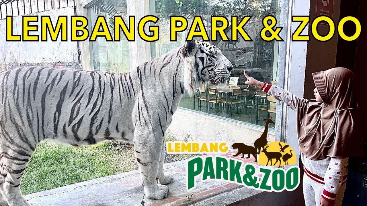 Virtual Tour LEMBANG PARK & ZOO, Lembang, Bandung.