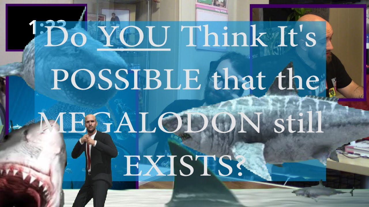 SHARKWEEK 2024: IS MEGALODON STILL ALIVE? 🦈🪦🦷