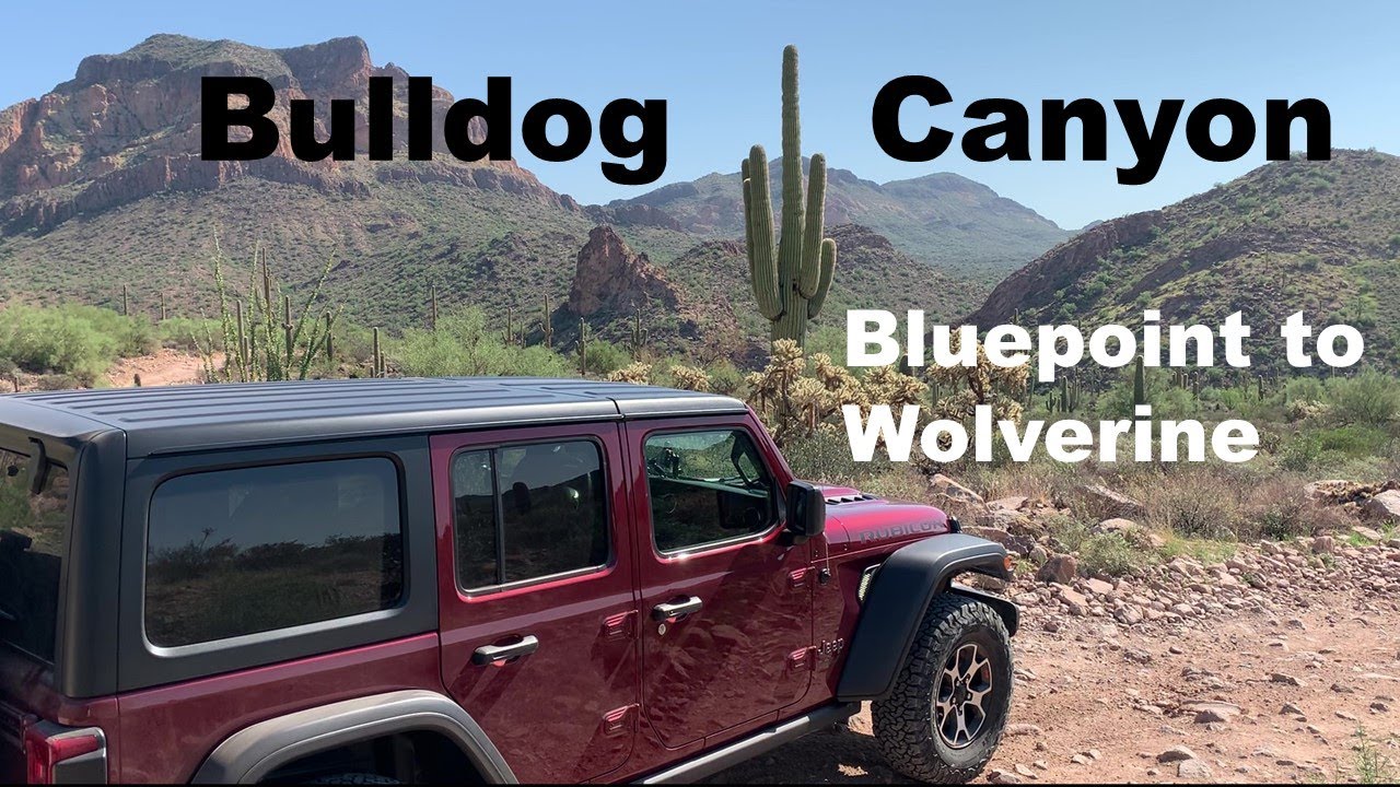 Bulldog Canyon Blue Point to Wolverine