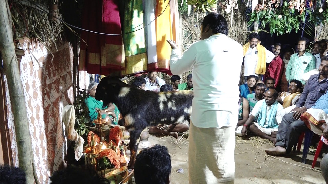 Rompivalasa Viallage,Nasara Rajarao Gavu sambaram (2020) s/o Nasara Dalaiah 🙌🙏 (KAKI KRISHNA)