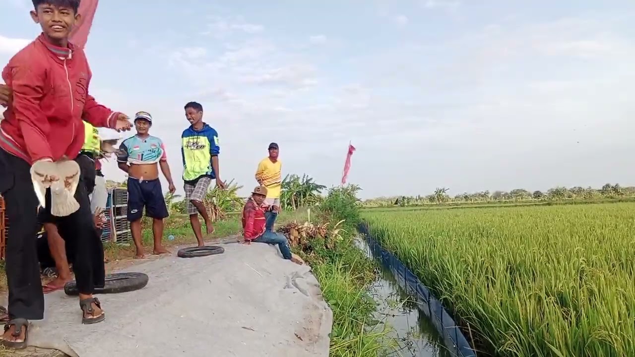 Lomba hari minggu lp. Sinan 1000 M. Juara bertahan kaji tukul masih di puncak klasmen