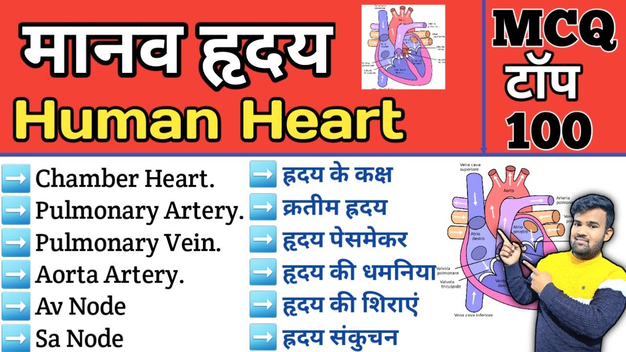 Human heart MCQ | मानव ह्रदय | Science Gk MCQ | group d | Gk for vyapam | Gk for railway exam | mcq