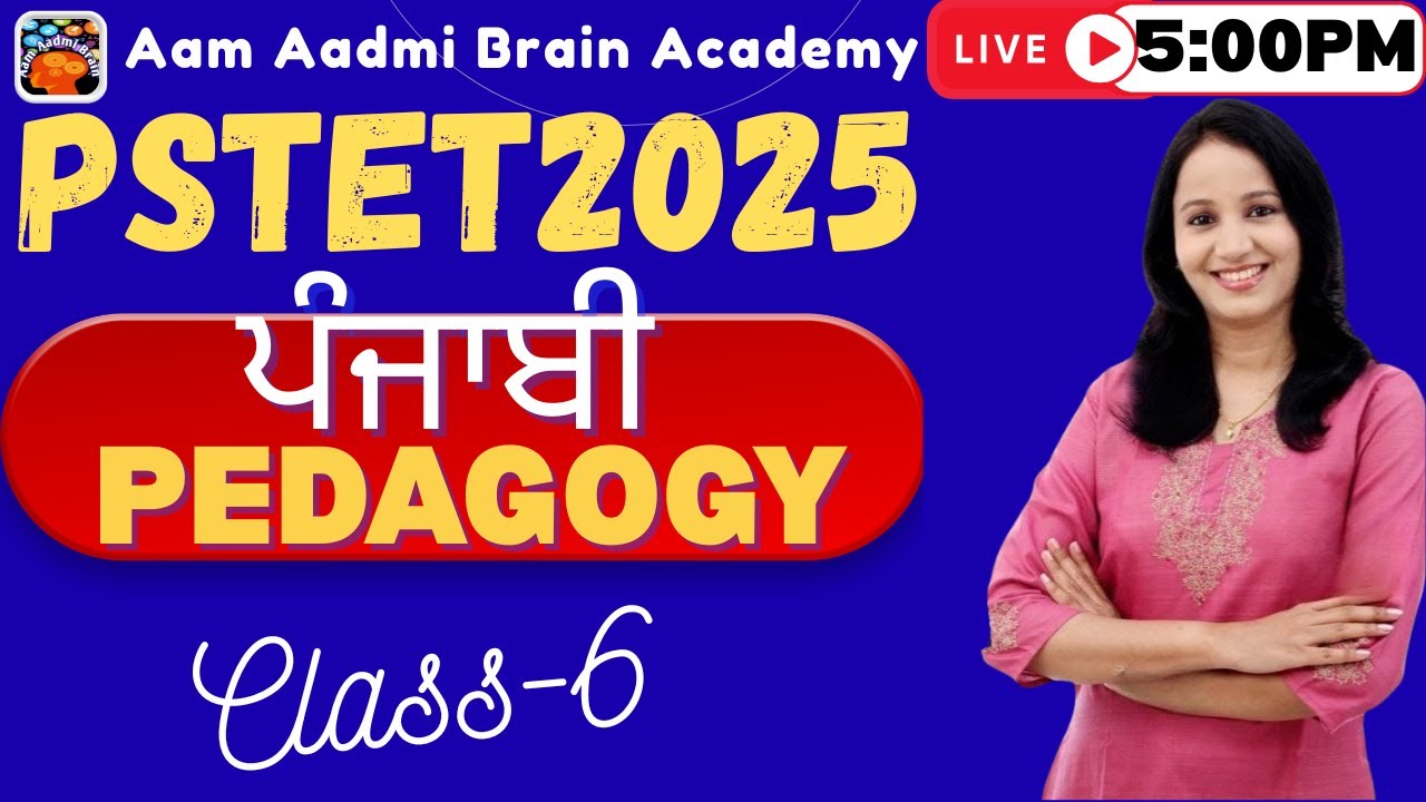 PSTET PUNJABI | pstet preparation 2024 | pstet 2024 | pstet new notification | pstet punjabi classes