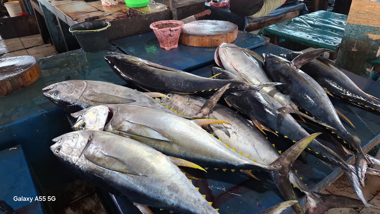 Keterampilan potong ikan tuna di pasar ikan jembatan Puri Sorong papua barat daya Indonesia