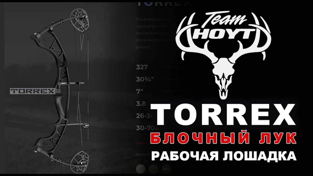 Блочный лук Hoyt TORREX