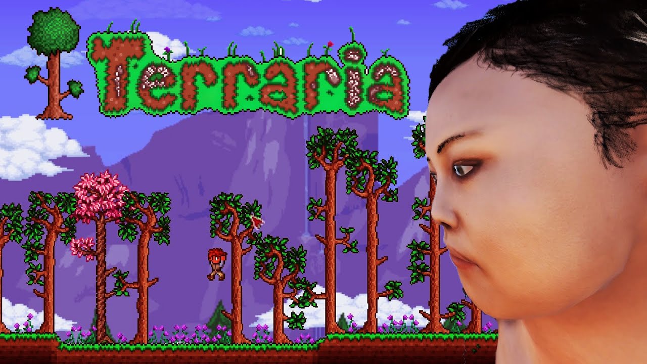 i played terraria on the hardest difficulty...