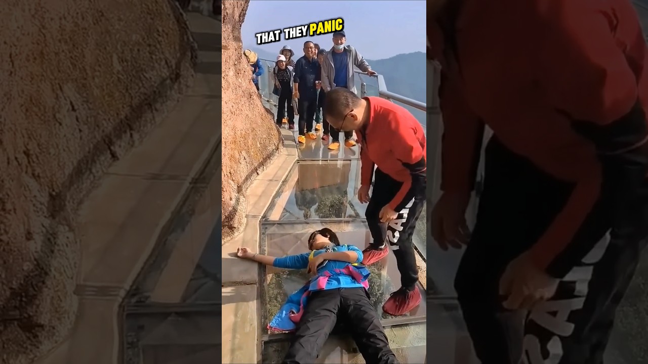 Terrifying Reactions on China's Glass Bridge 😱 Watch Them Freeze in Fear