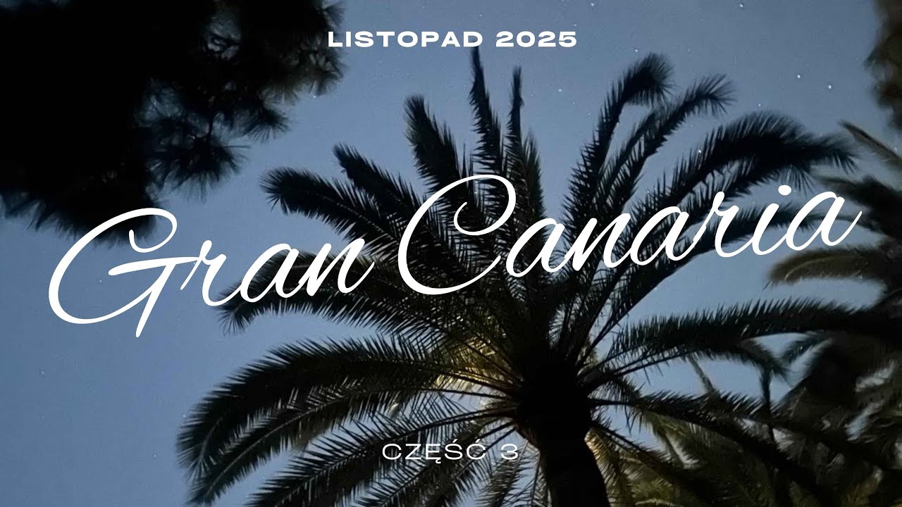 Gran Canaria – nowy domek, koty i… inwazja mrówek! 🏡🐱🐜