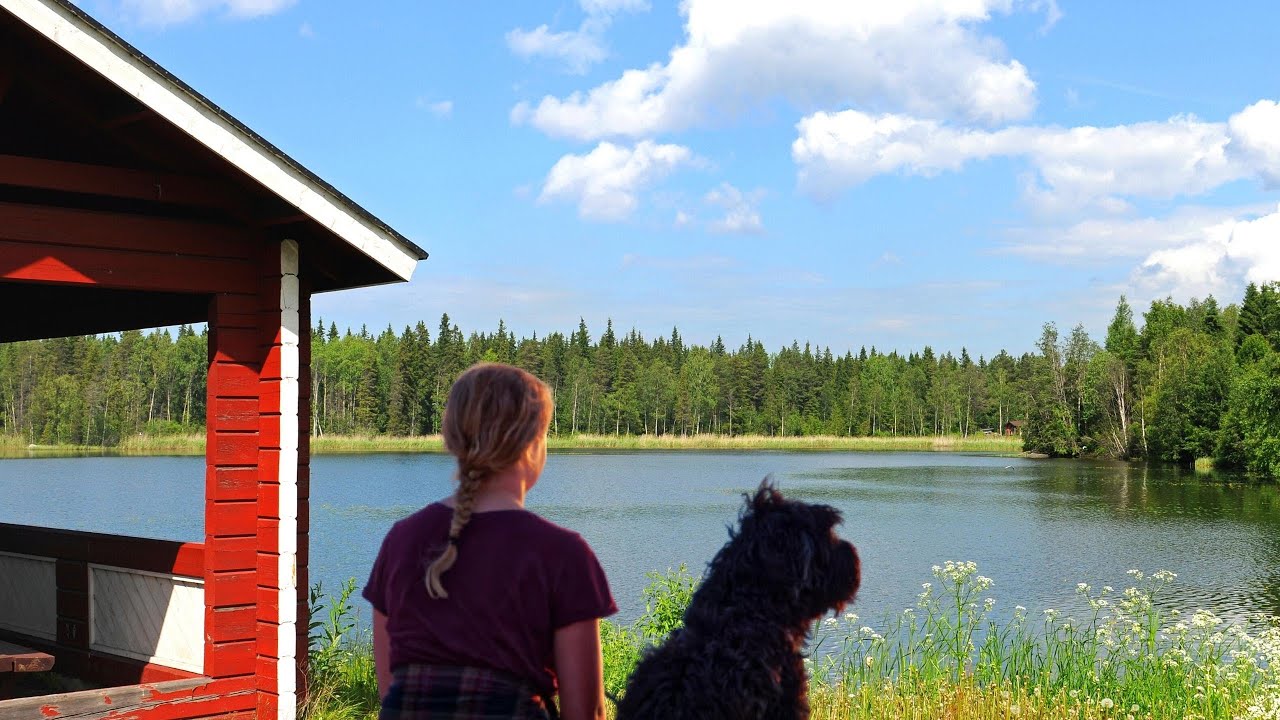 Urlaub mit Hund &ndash; Wie Hundefreundlich ist Finnland?