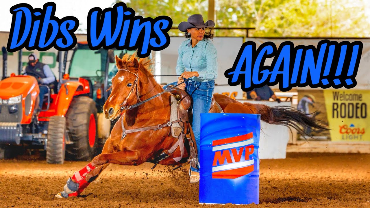DELIVERING A COLT | Where has SUNNY been??? | MVP barrel race $$$