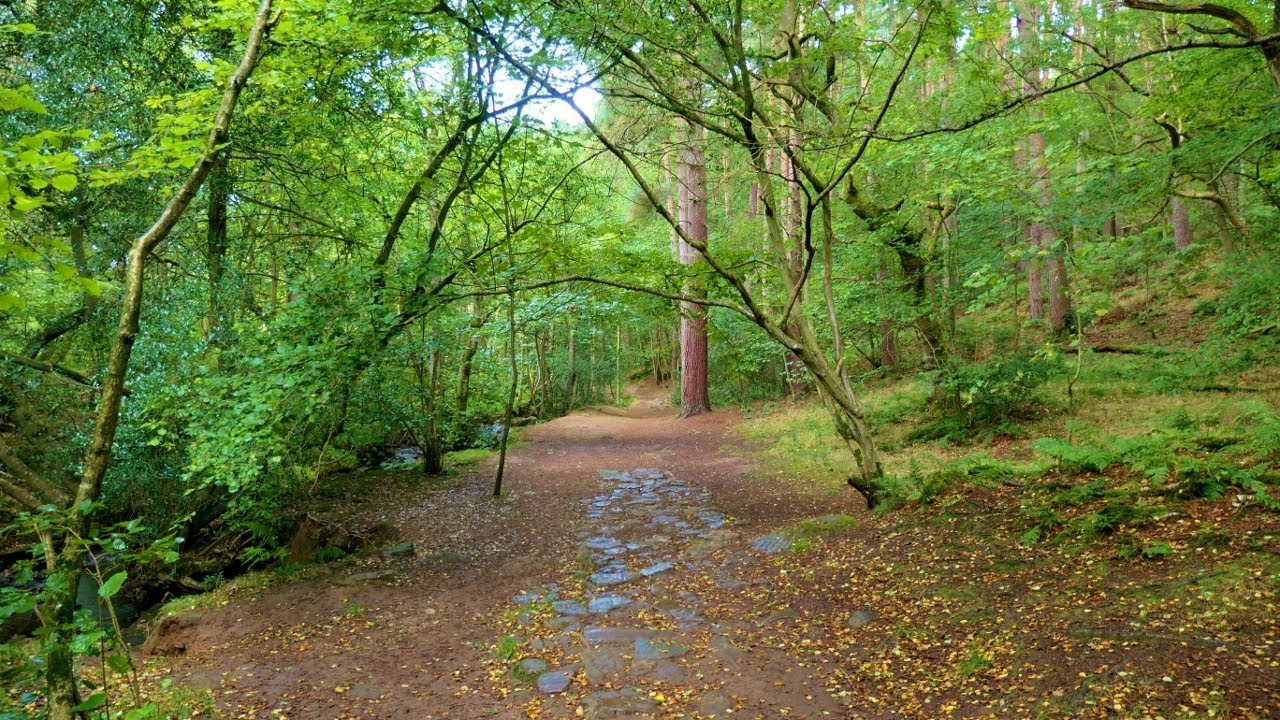 Falling Foss & Little Beck, North York Moors - 31 August 2019
