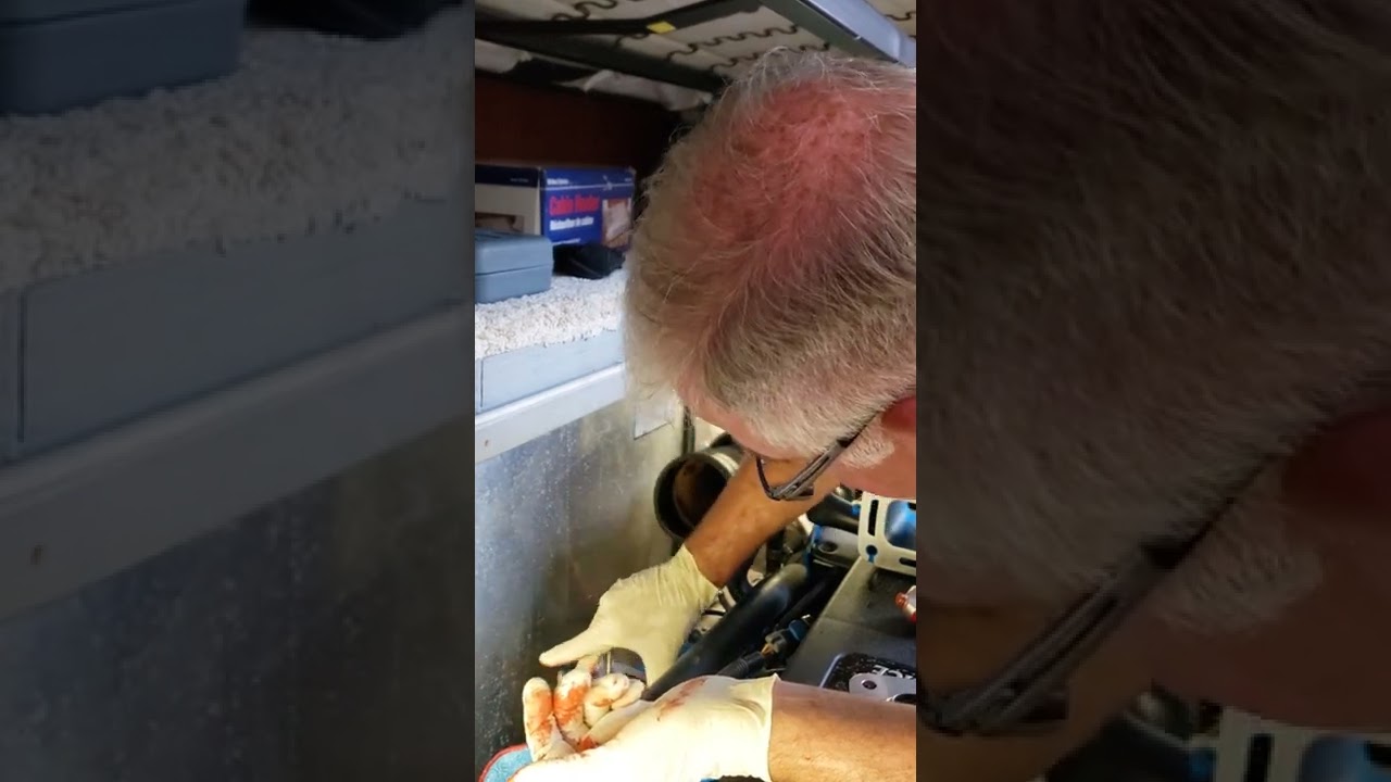 Crusader 8.1 Exhaust Elbows and Risers - Part 8