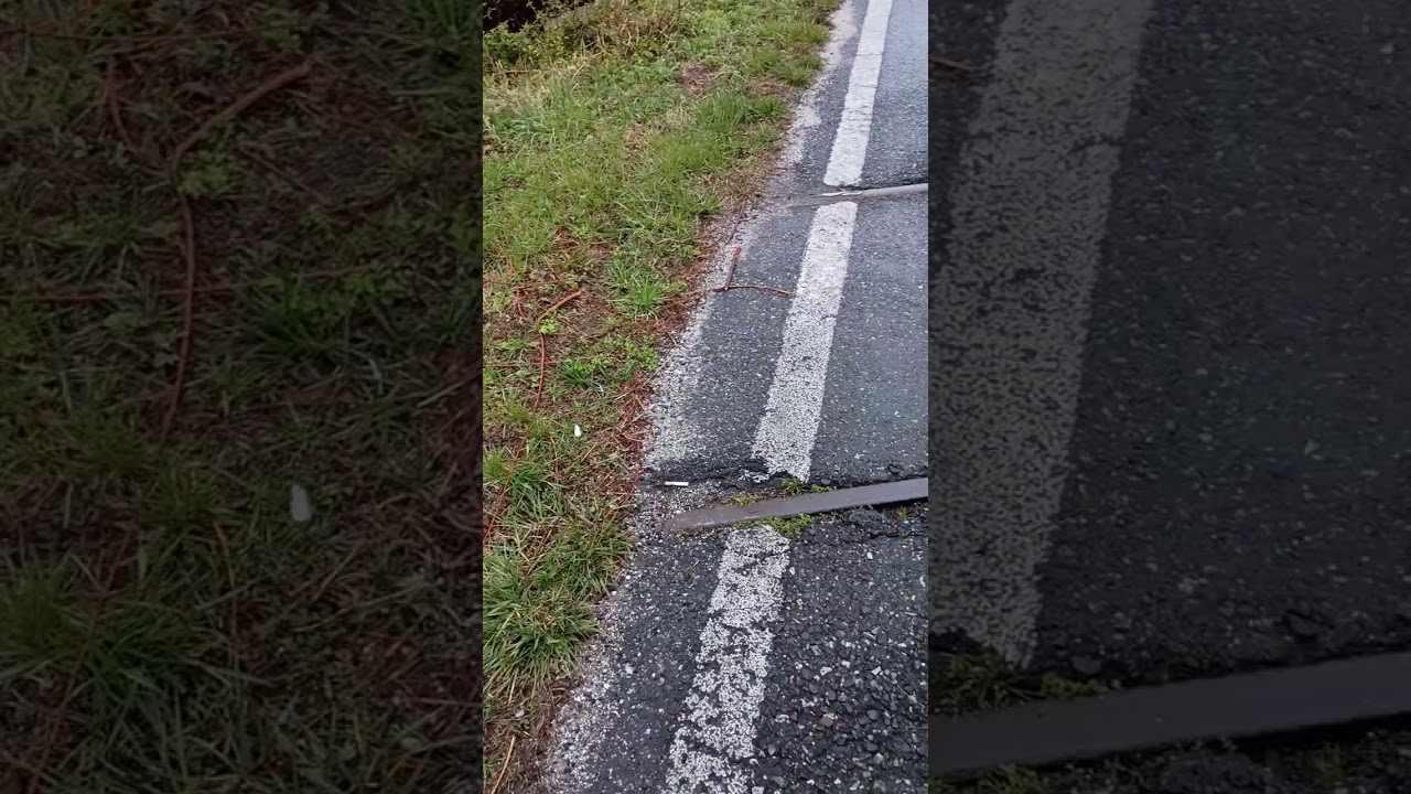 заброшенные железнодорожные пути, Кейп-Мэй, Нью-Джерси