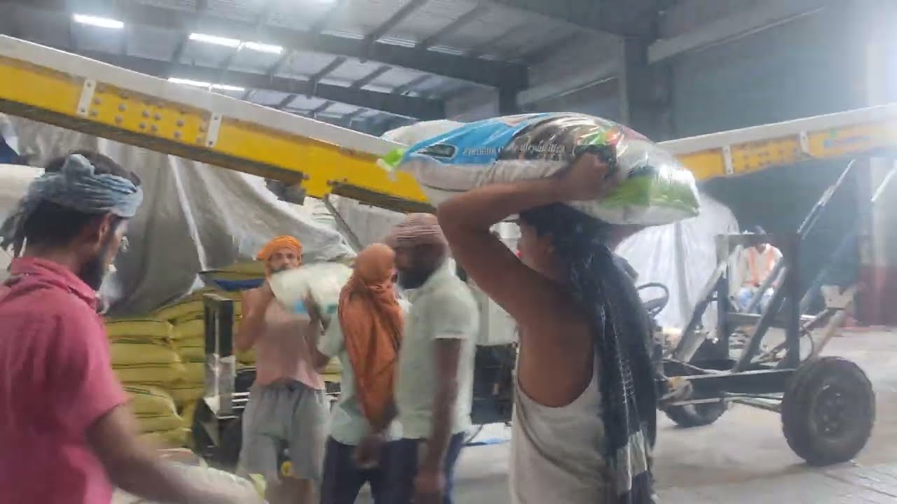 rice export || live container stuffing of rice || rice packaging || rice export to dubai