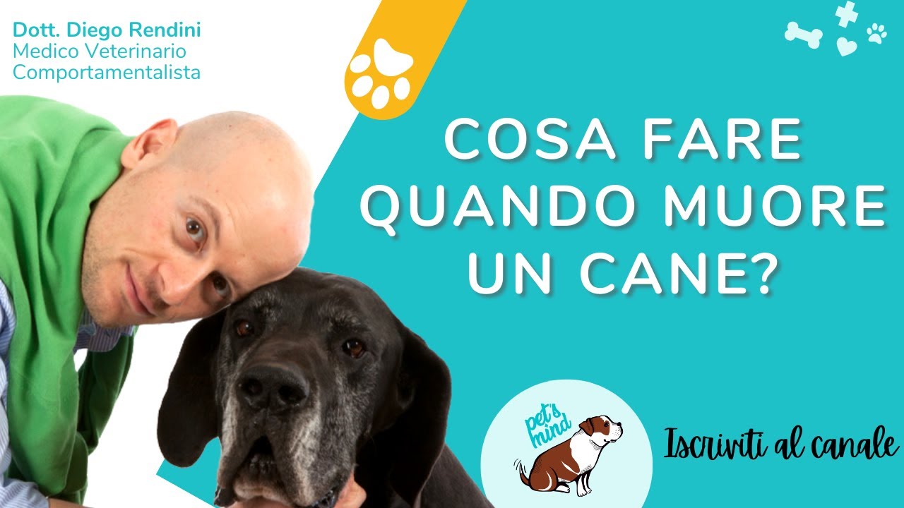 Cosa fare quando muore un cane?