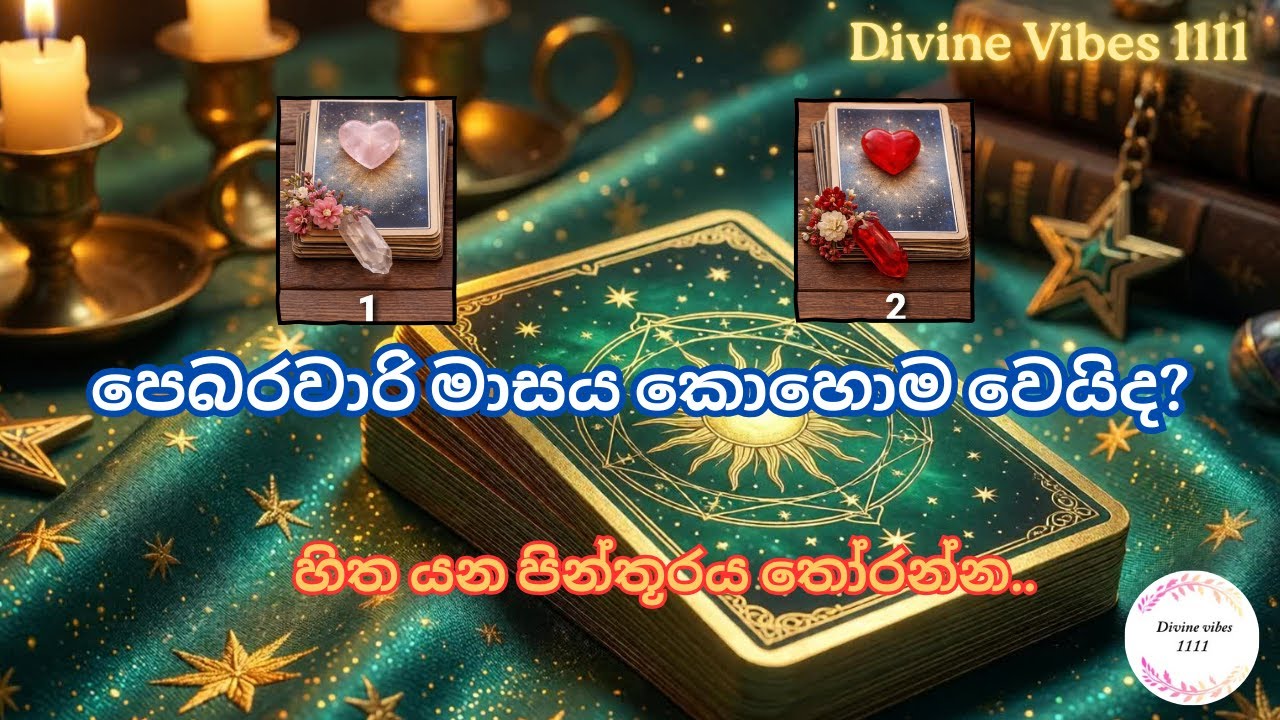 පෙබරවාරි මාසය කොහොමද? |Prediction for the Month of February | Tarot Sinhala