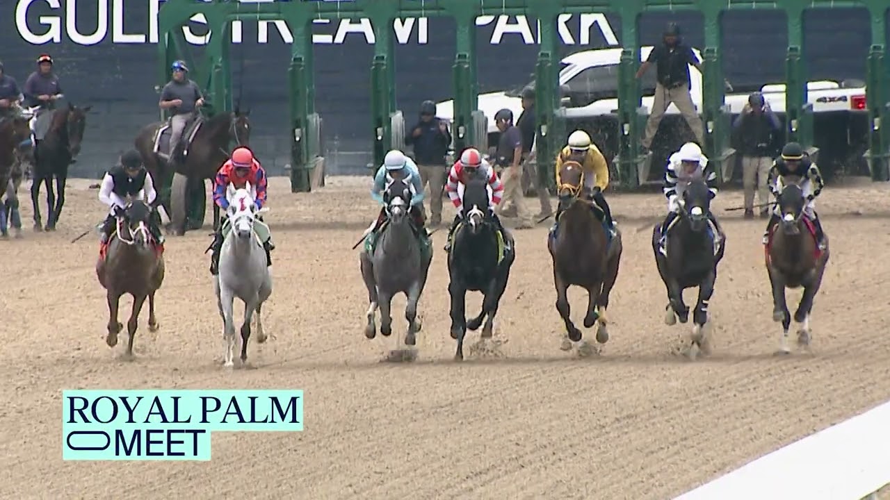 Gulfstream Park Replay Show | August 18, 2024