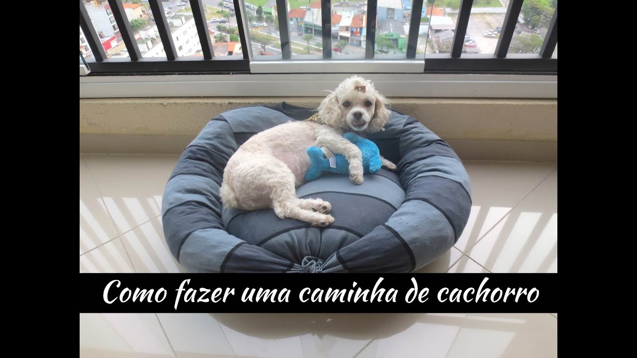 DIY - Como fazer uma caminha de cachorro