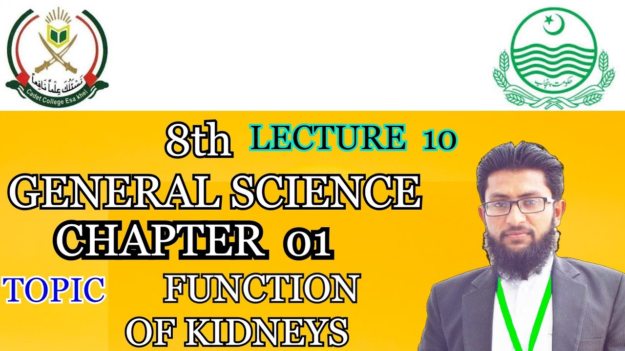 8th class | General Science | Chapter 1 |  Function of kidneys