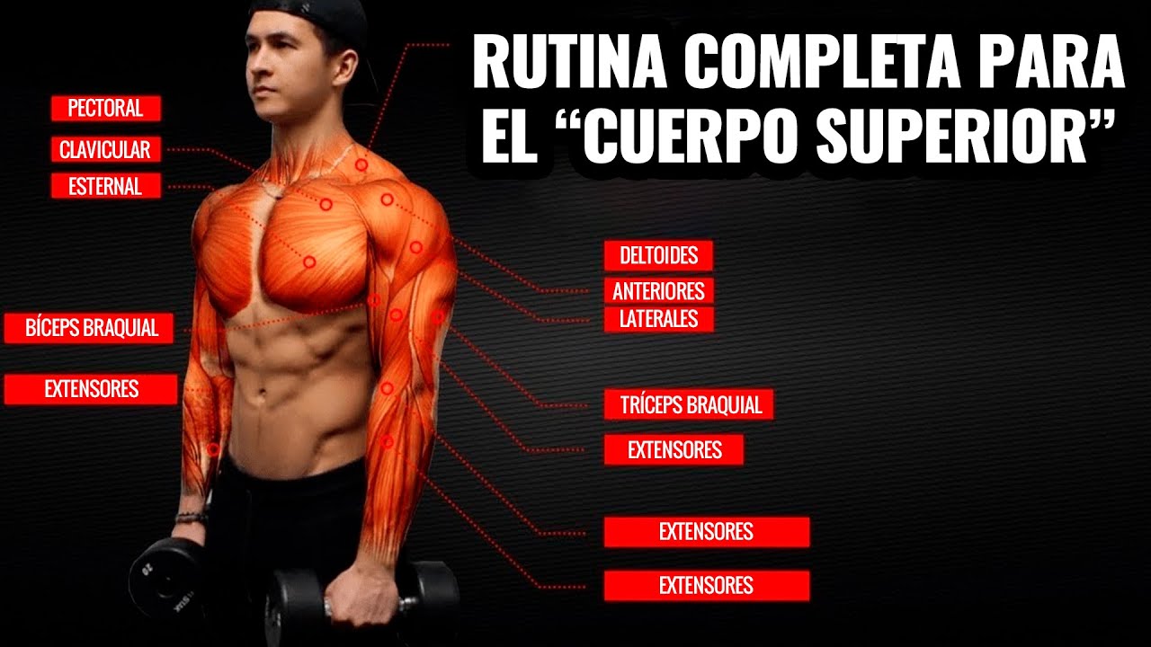 La mejor rutina científica de cuerpo superior para ganar músculo (pecho, espalda, brazos y hombros)