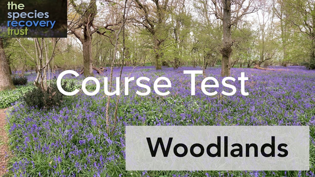 Woodlands Test