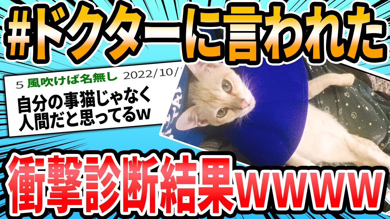 【動画】Xで大人気‼バズった動物オモシロ動画 ドクターに言われた衝撃的な言葉