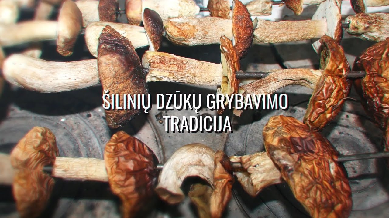 Šilinių dzūkų grybavimo tradicija | Lietuvos kodas