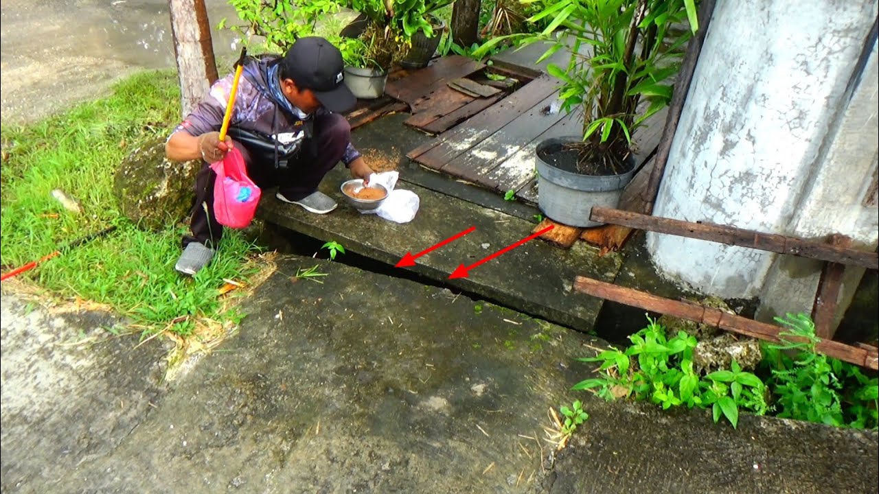 WARGA MARAH SAYA DILARANG MANCING DISELOKAN DEPAN RUMAH INI,, Gara² saya dapat ikan lele besar besar