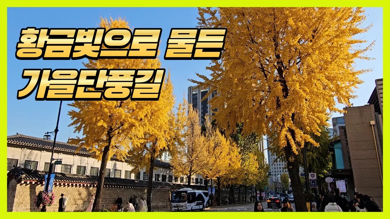 [4K] K단풍 🍁바로 이거쥐~!! 🍁 엄청난 인파의 단체 나들이!! | Gyeongbokgung Palace Autumn Foliage Road
